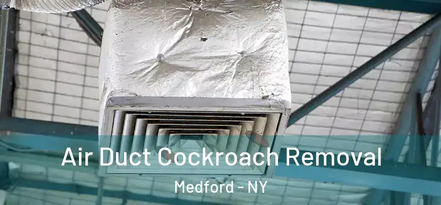  Air Duct Cockroach Removal Medford - NY