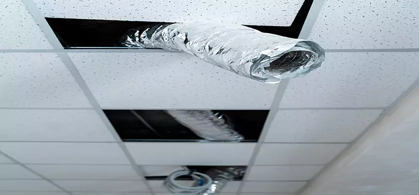 Our Air Duct Pet Hair Removal Services in Medford, NY