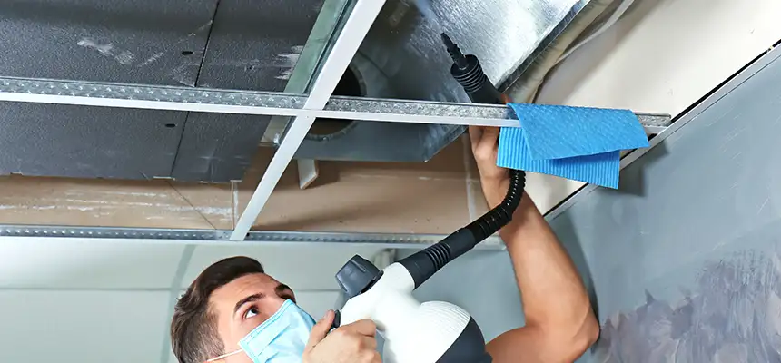 Our Air Duct Rodent Removal Services in Medford, NY