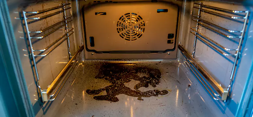 Our Dryer Vent Mold Cleaning Services in Medford, NY