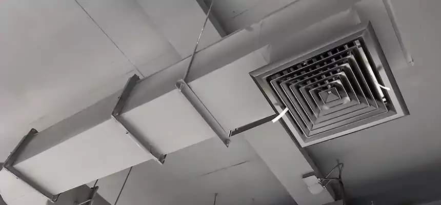 Our Pest Removal From Ducts Services in Medford, NY