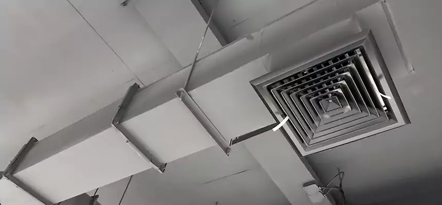 Our Rodent Droppings In Vents Services in Medford, NY