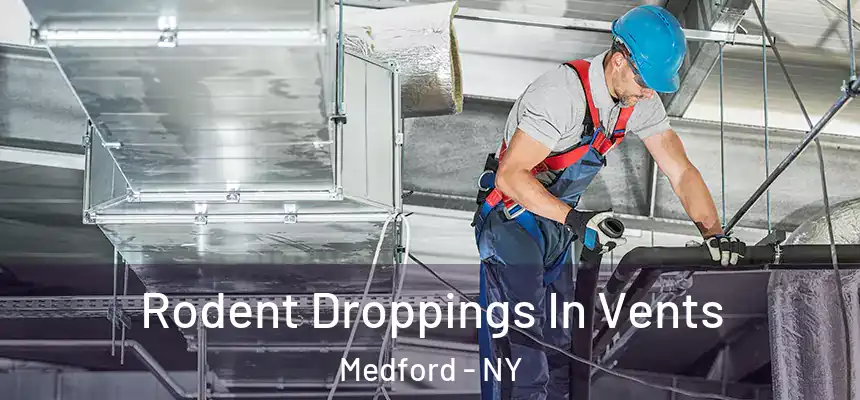  Rodent Droppings In Vents Medford - NY
