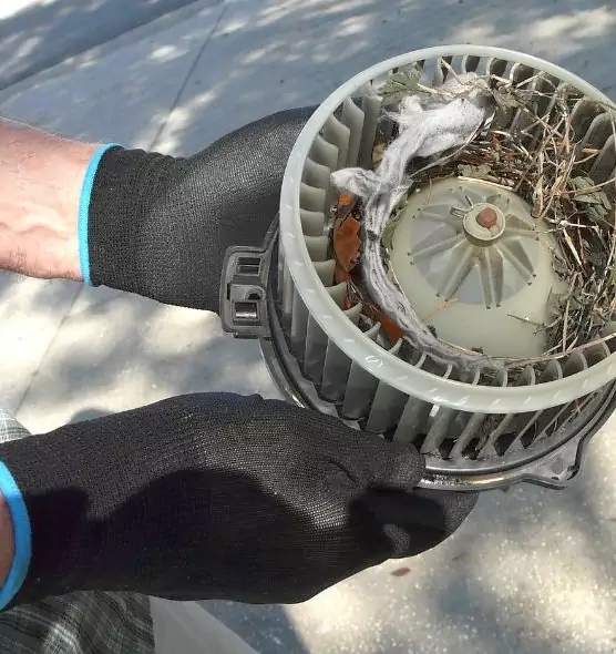 About Air Duct Rat Removal in Medford, NY