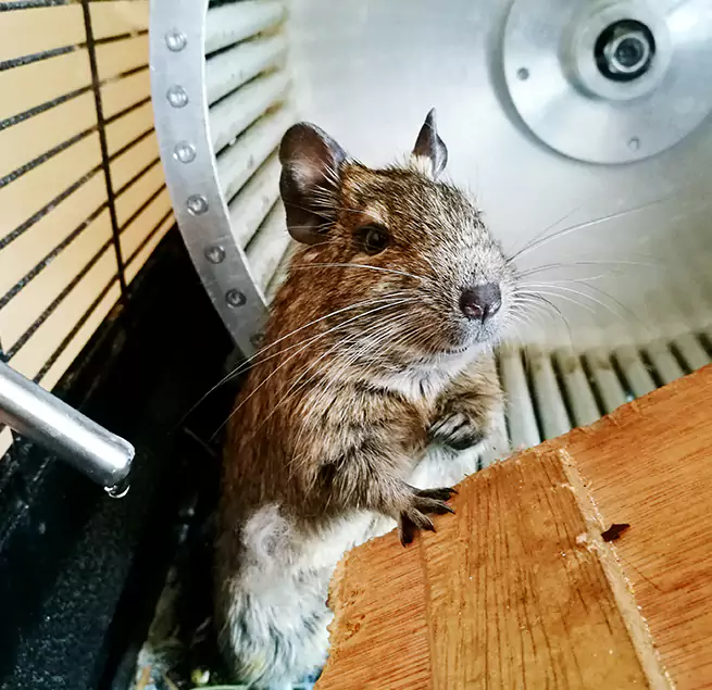 Why Homeowners & Businesses Trust Us Medford, NY