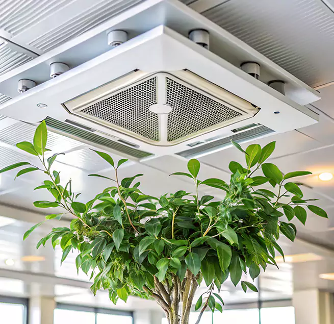 Why Homeowners & Businesses Trust Us in Medford, NY?