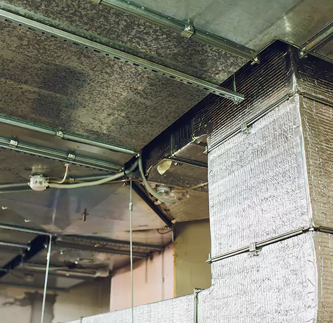 Why Homeowners & Businesses Trust Us in Medford, NY?